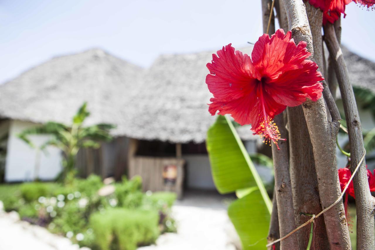 Surfescape Village Zanzibar Pwani Mchangani Εξωτερικό φωτογραφία